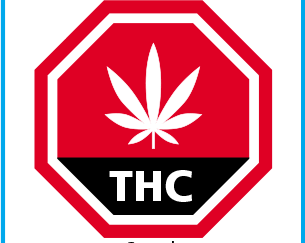 #THC-CANN.-1